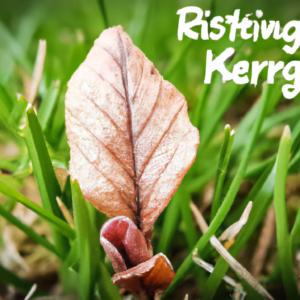 Warum das Verwenden von Wordpress-Childthemes so wichtig ist.