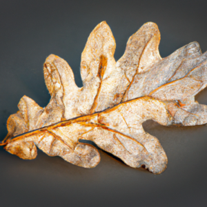 Hierarchische WordPress-Taxonomie mit Kategorien und Unterkategorien